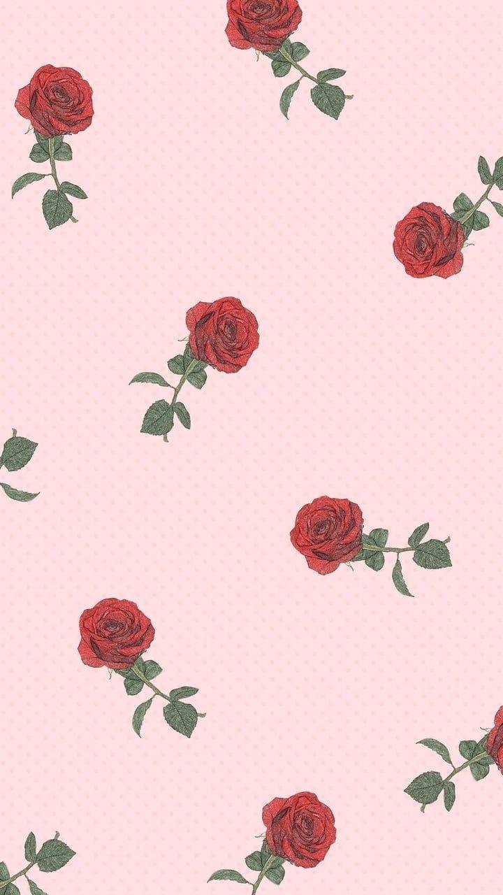 720x1280 ladypauli. Aesthetic iphone wallpaper, iPhone