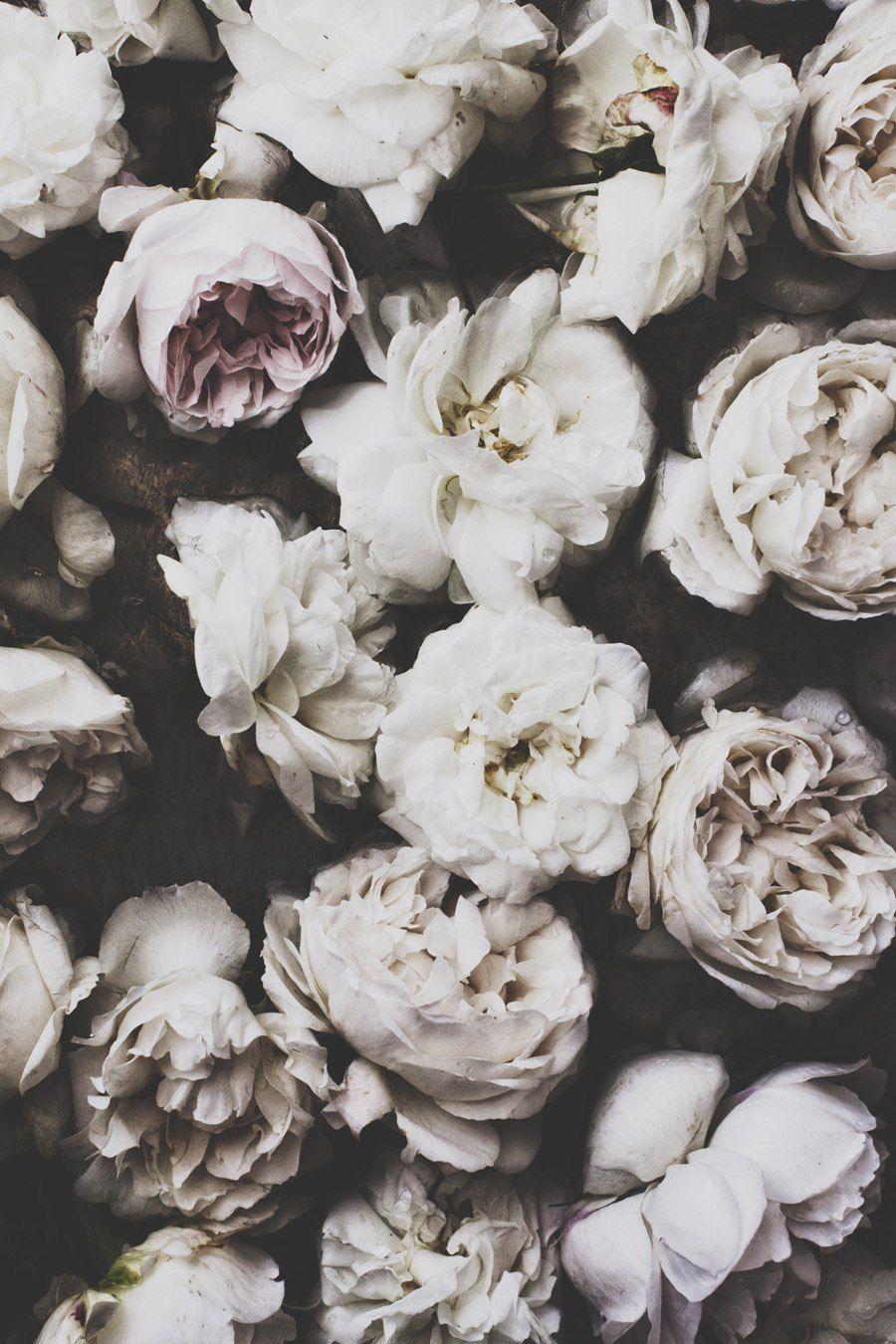 900x1350 fotografia. Flowers, Floral, Bloom