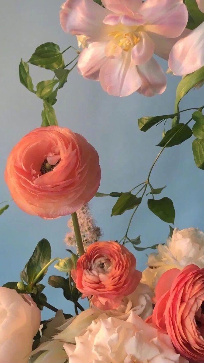 700x1244 ⋆