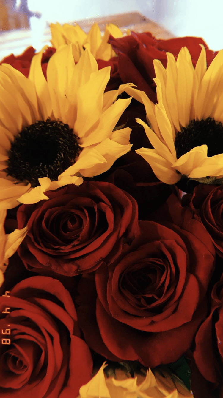 Bouquet Of Sunflowers With Red And Yellow Roses Background Picture Of  Sunflowers And Roses Background Image And Wallpaper for Free Download
