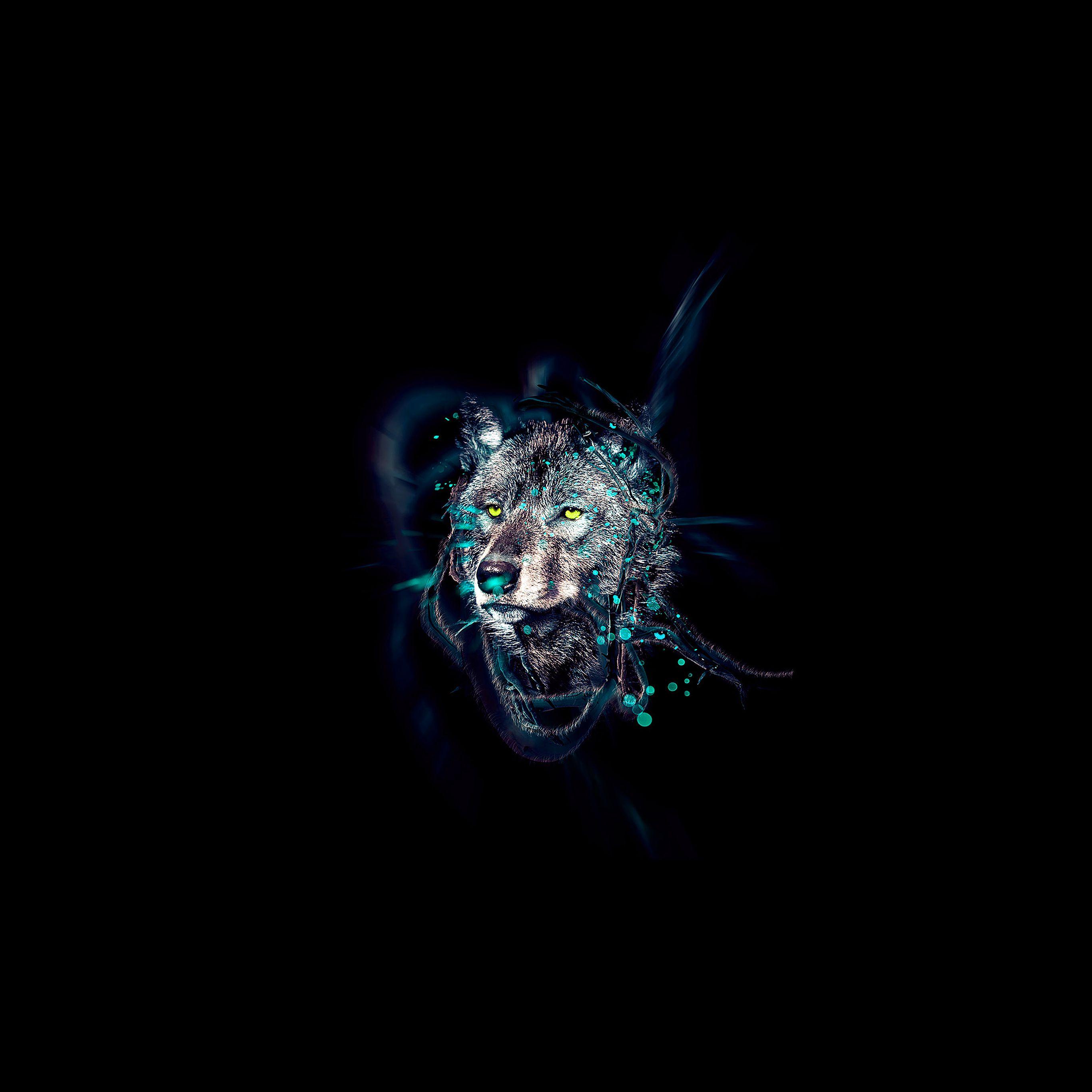 2732x2732 Wolf By Ekud Illust Art