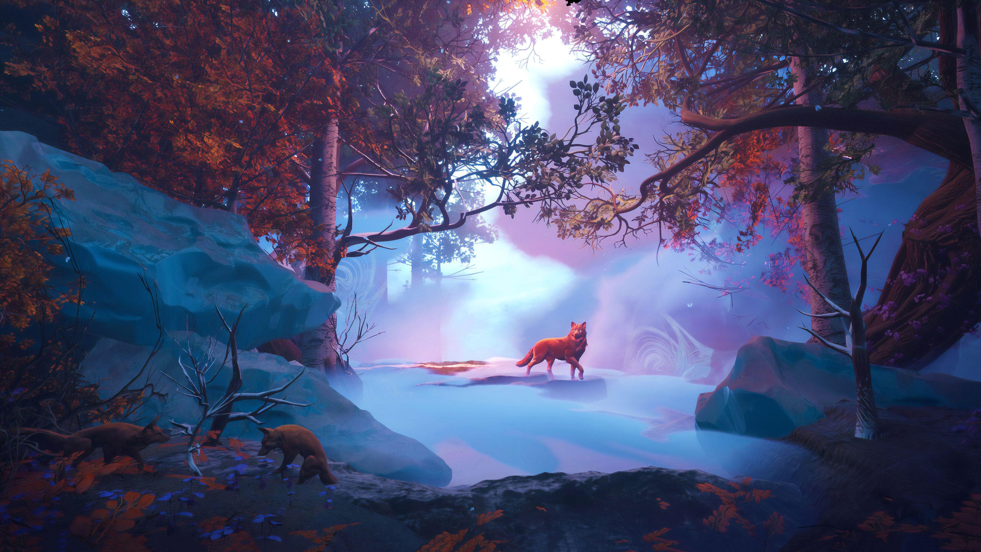 3840x2160 Wallpaper Of Wolf