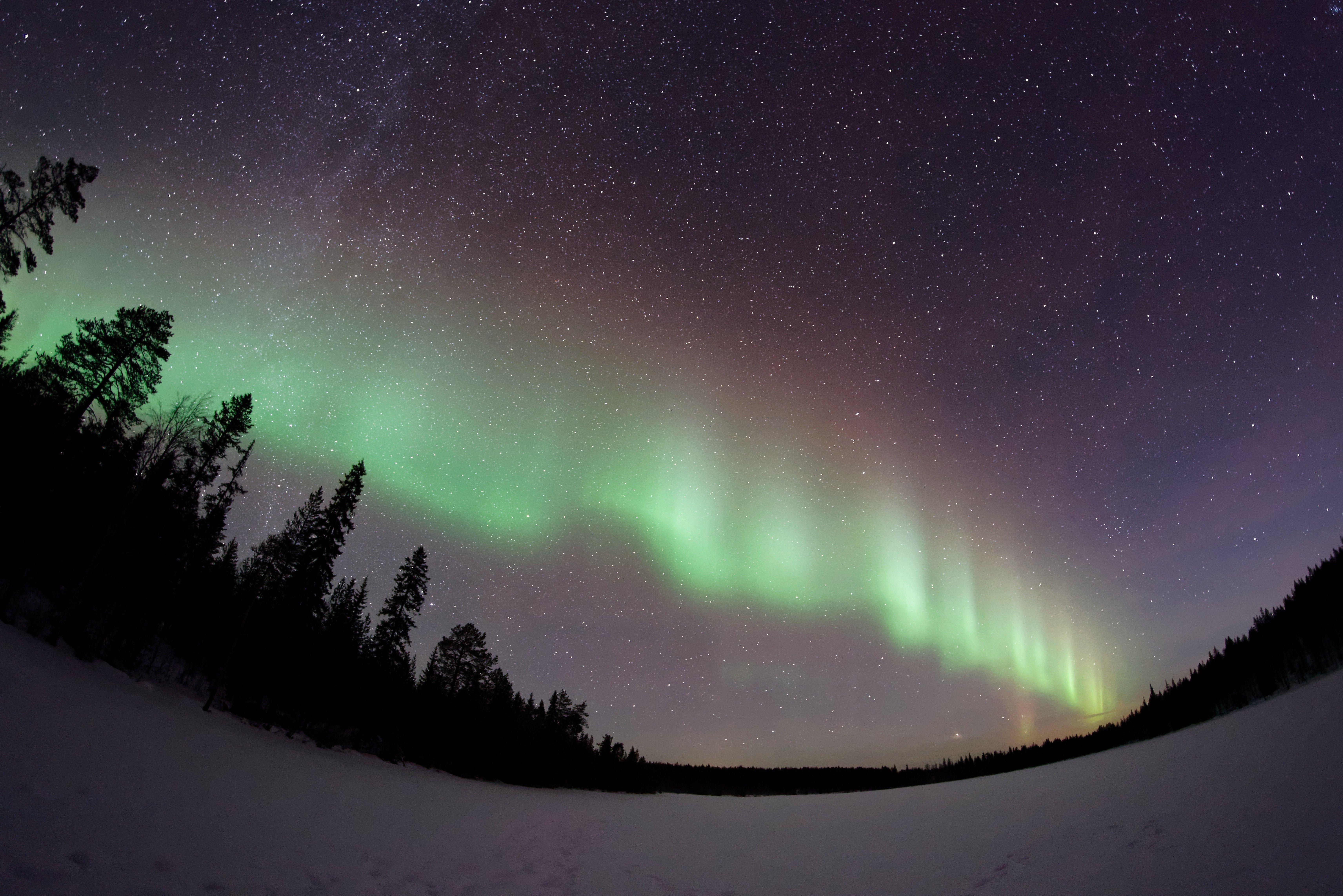 6849x4570 #nature, #aurorae, #snow, #stars, #trees, #galaxy