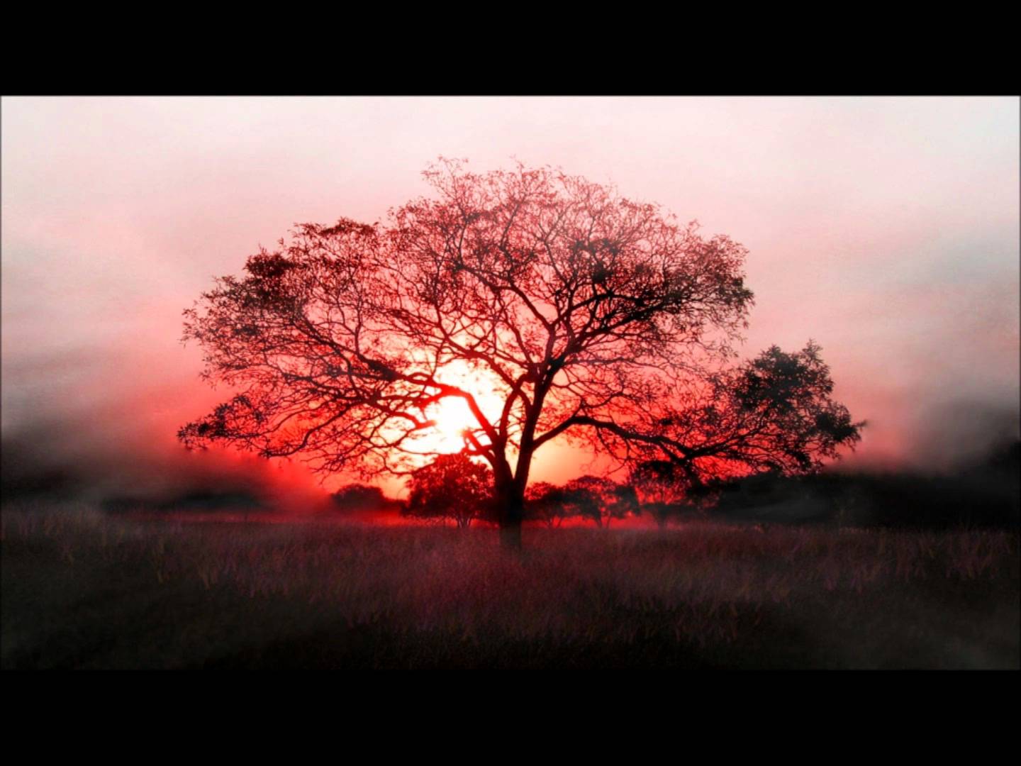 1440x1080 Native American Indian Music Ceremony- Earth Drums 02