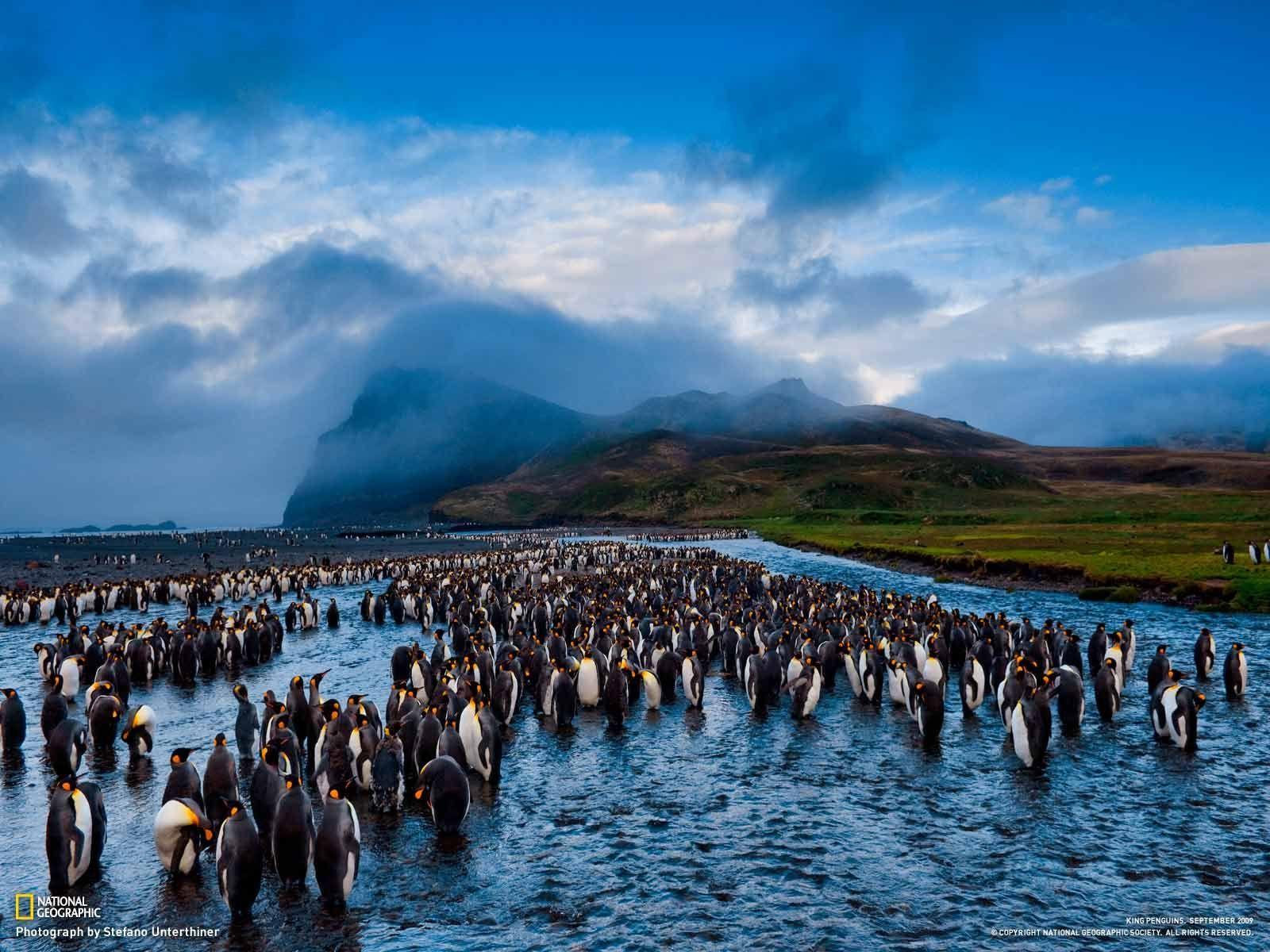 1600x1200 national geographic photo Most Famous National Geographic