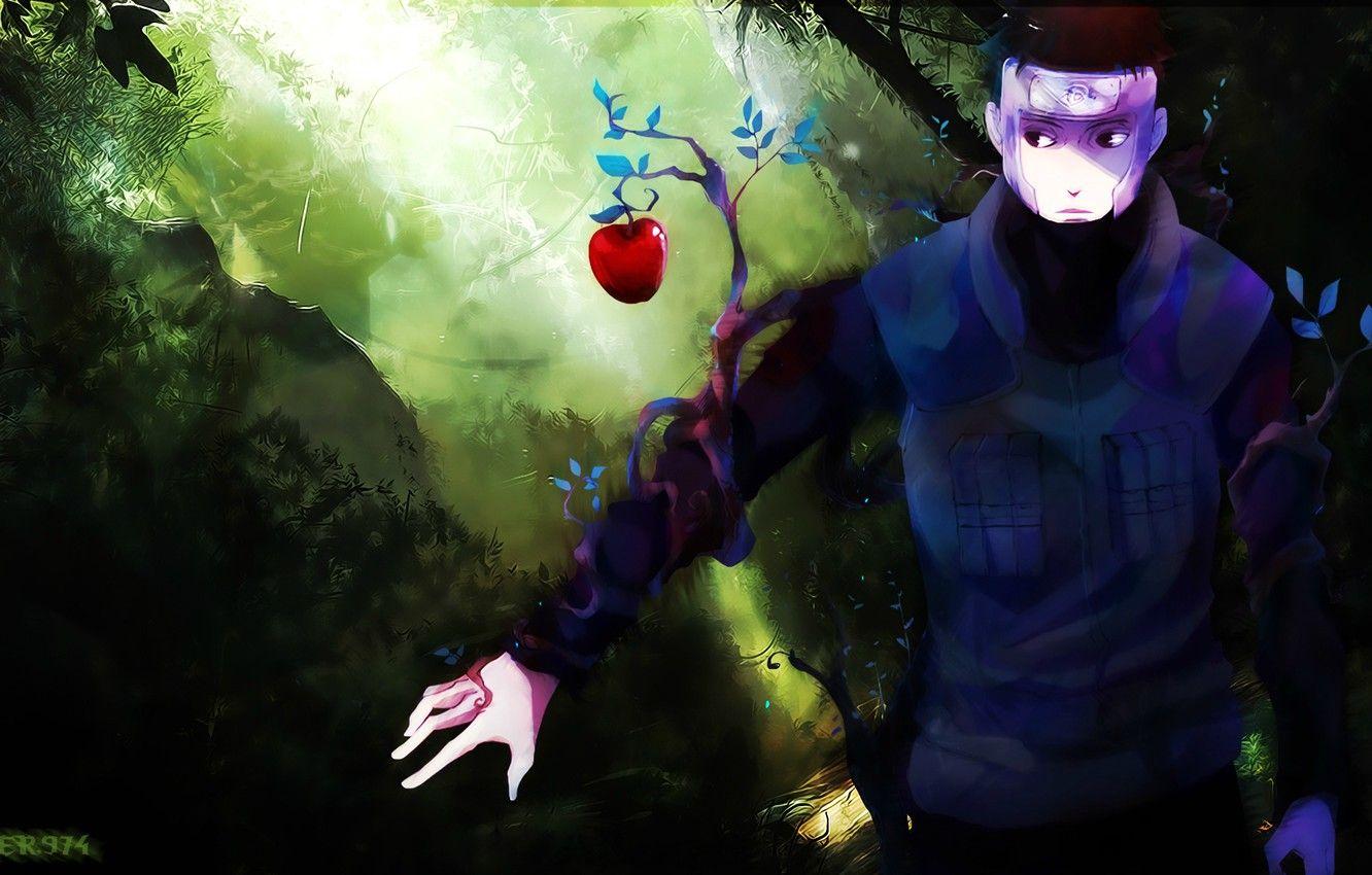 1332x850 Wallpaper tree, Apple, branch, Naruto, ninja, sensei, chakra
