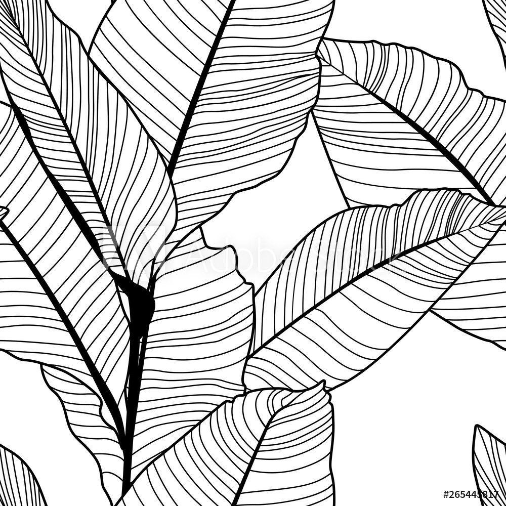 1000x1000 Banana Leaf
