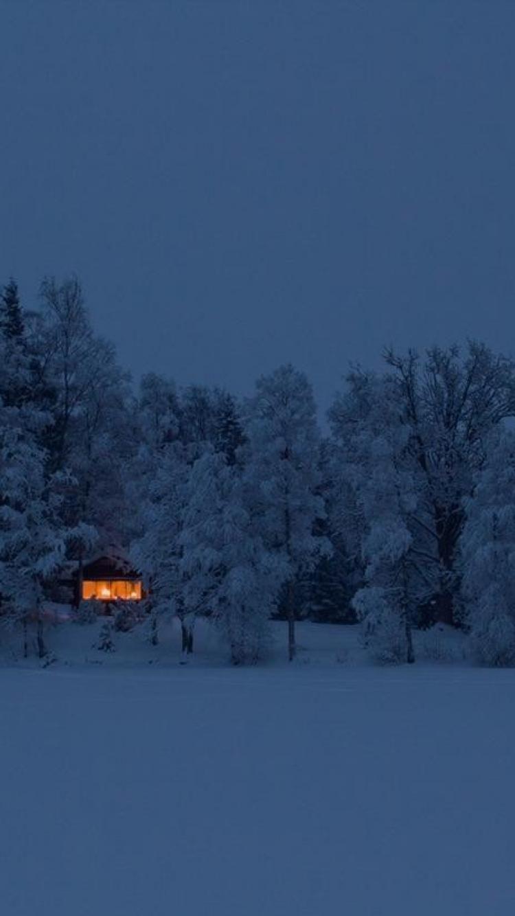 750x1334 Night sweden houses fog europe islands evergreens wallpaper