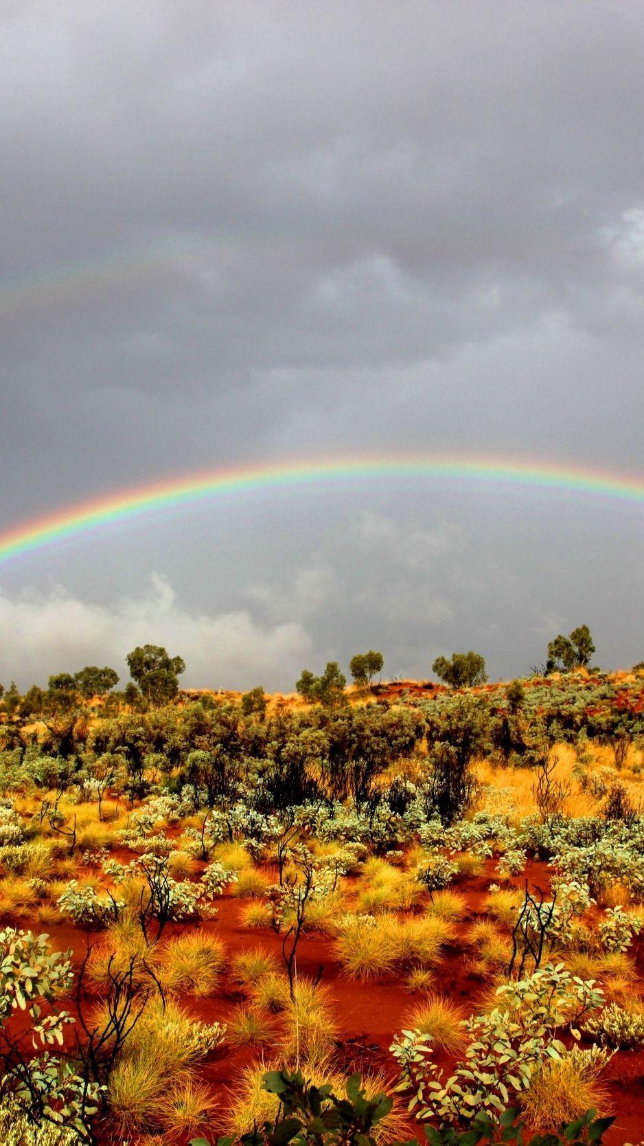 938x1668 Download wallpaper 938x1668 rainbow, bushes, wild west, vegetation