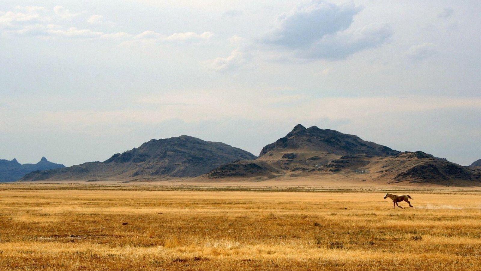 1600x900 Free download Wild West Background [1680x1050] for your Desktop