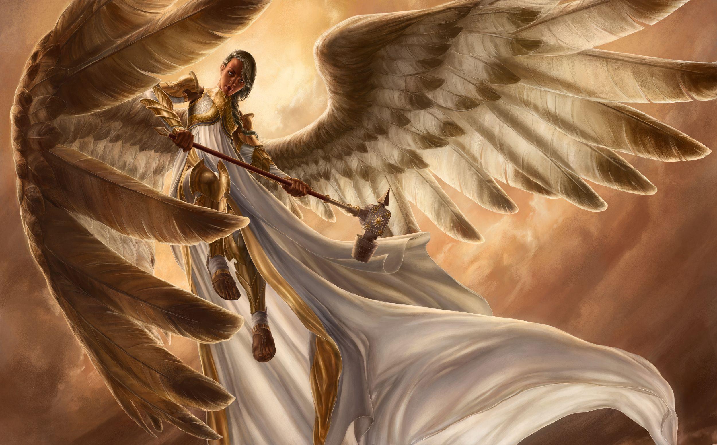 2500x1551 Angel Warrior HD Wallpaper and Background Image