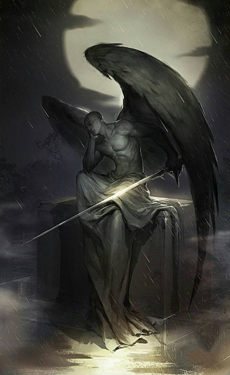785x1280 Angel Warrior wallpaper