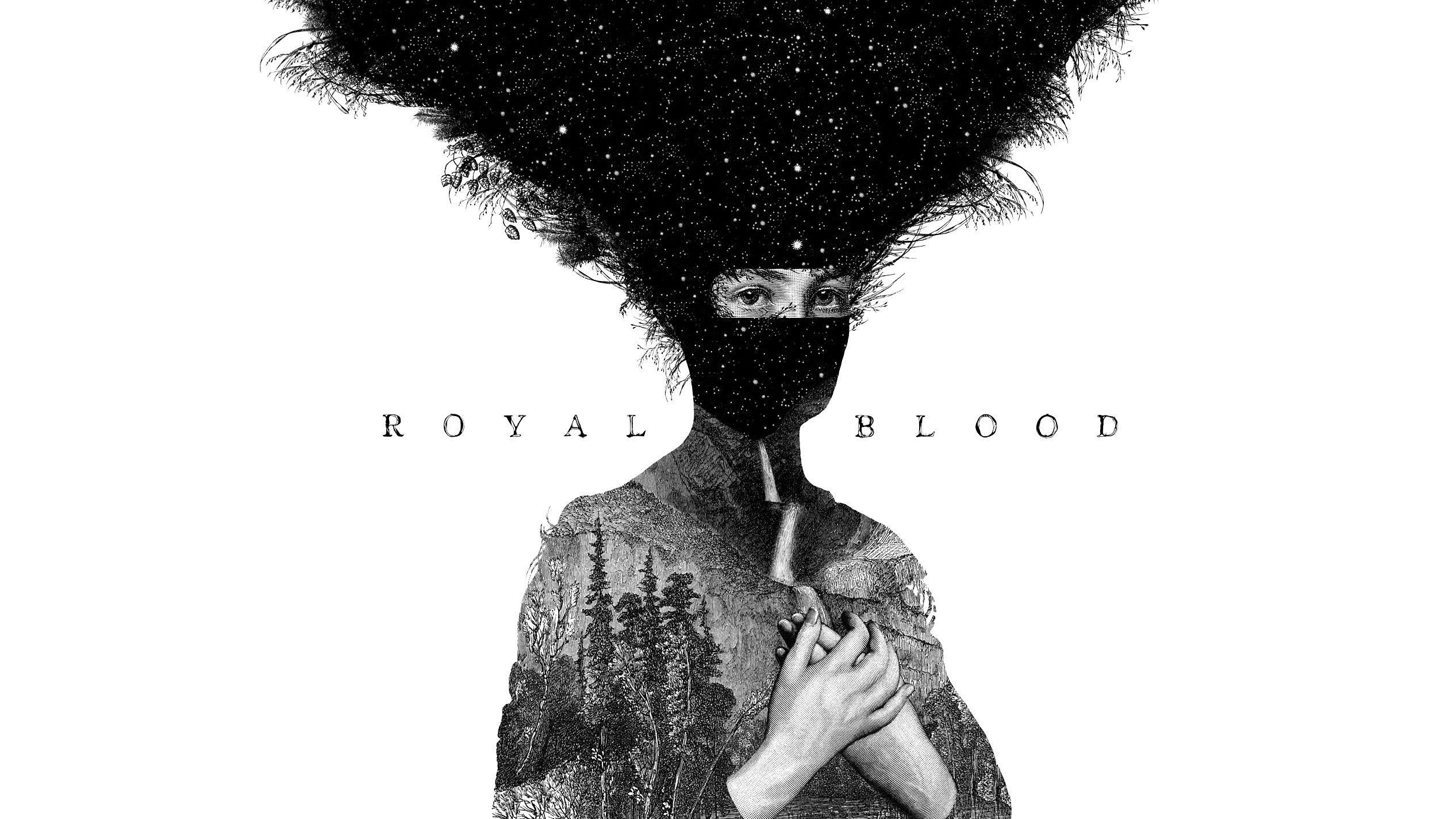 2533x1425 Royal Blood Wallpaper