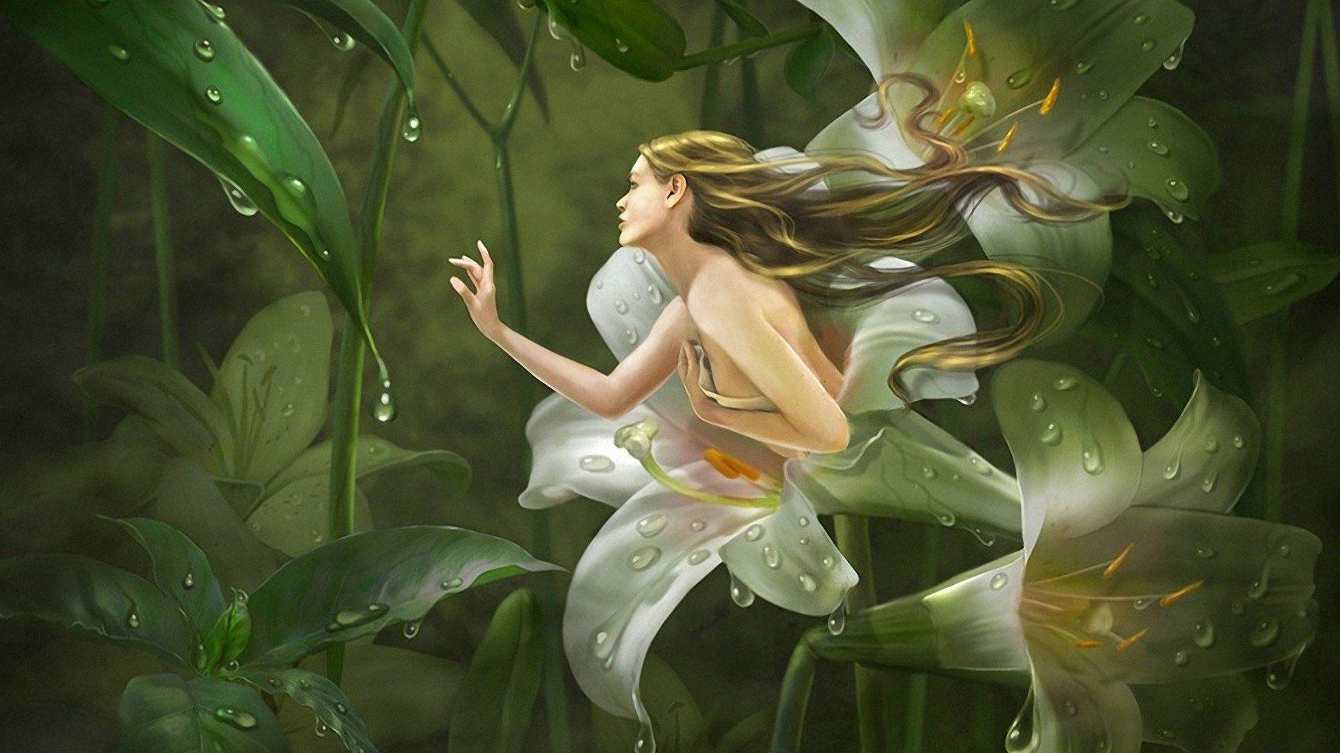 1920x1080 Flower Fairy HD Wallpaper
