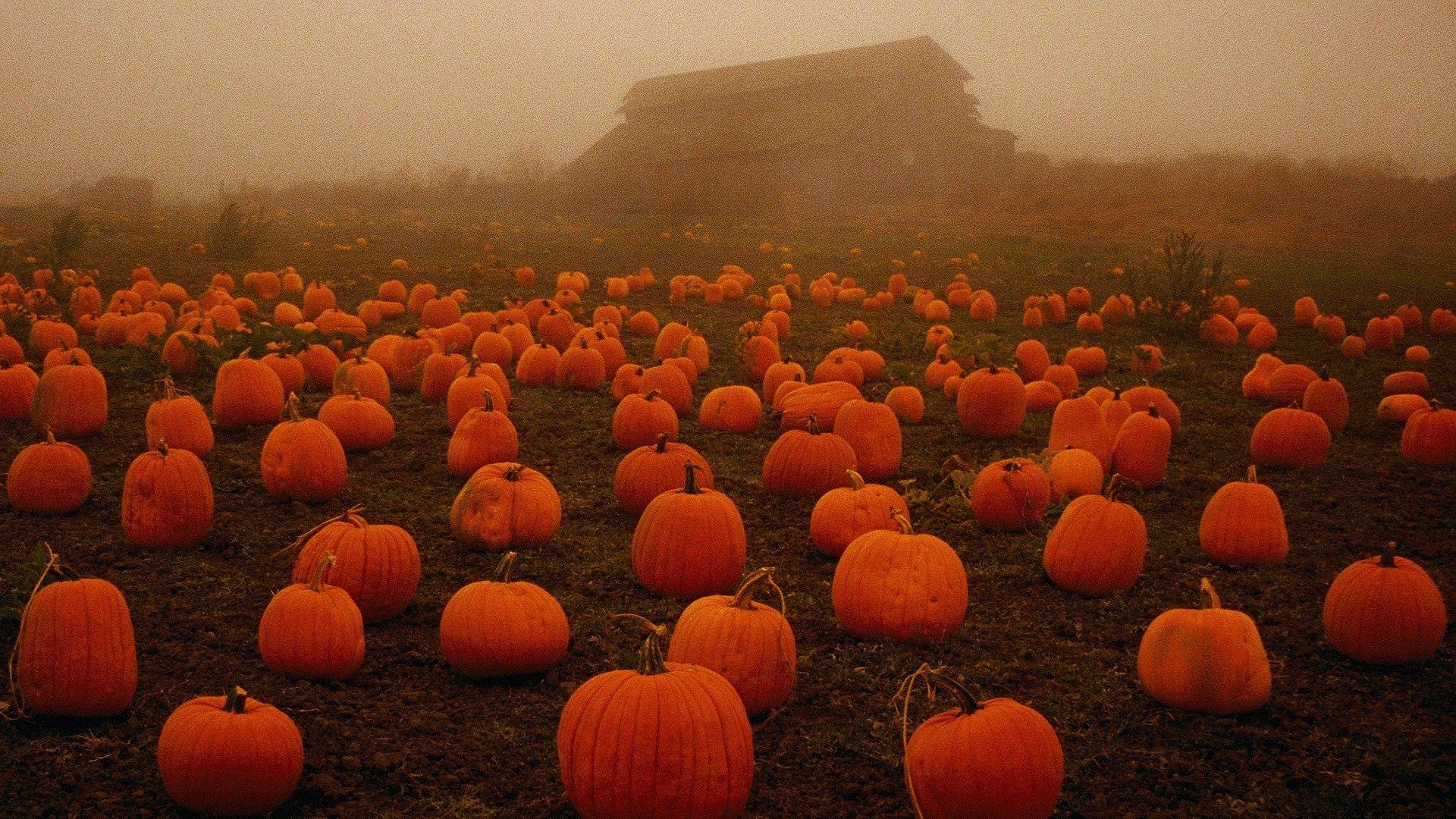 1920x1080 Halloween Background Image Photo Download HD Wallpaper