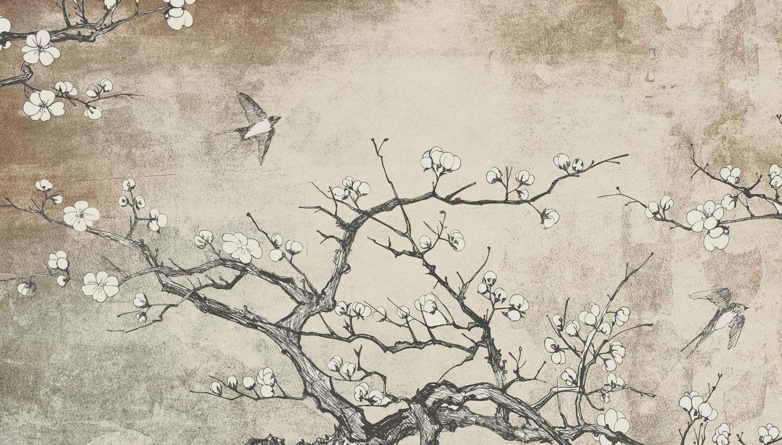 Cool Japanese Tree Wallpapers Top Free Cool Japanese Tree Backgrounds