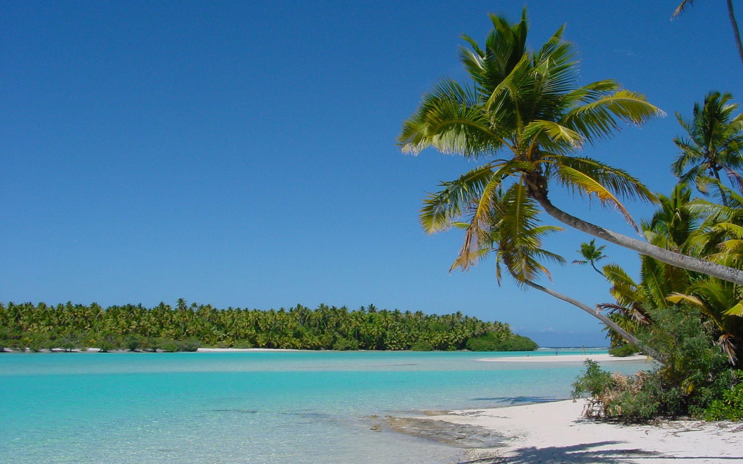 2560x1600 Caribbean Sea Palm Beach Desktop Wallpaper :