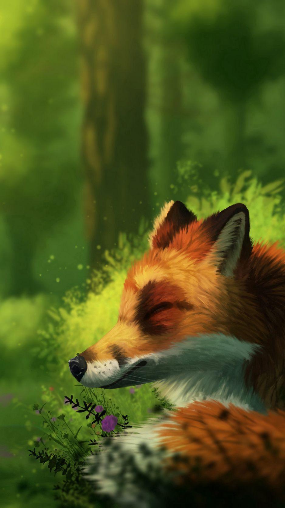 Wild Animal iPhone Wallpapers Top Free Wild Animal iPhone Backgrounds