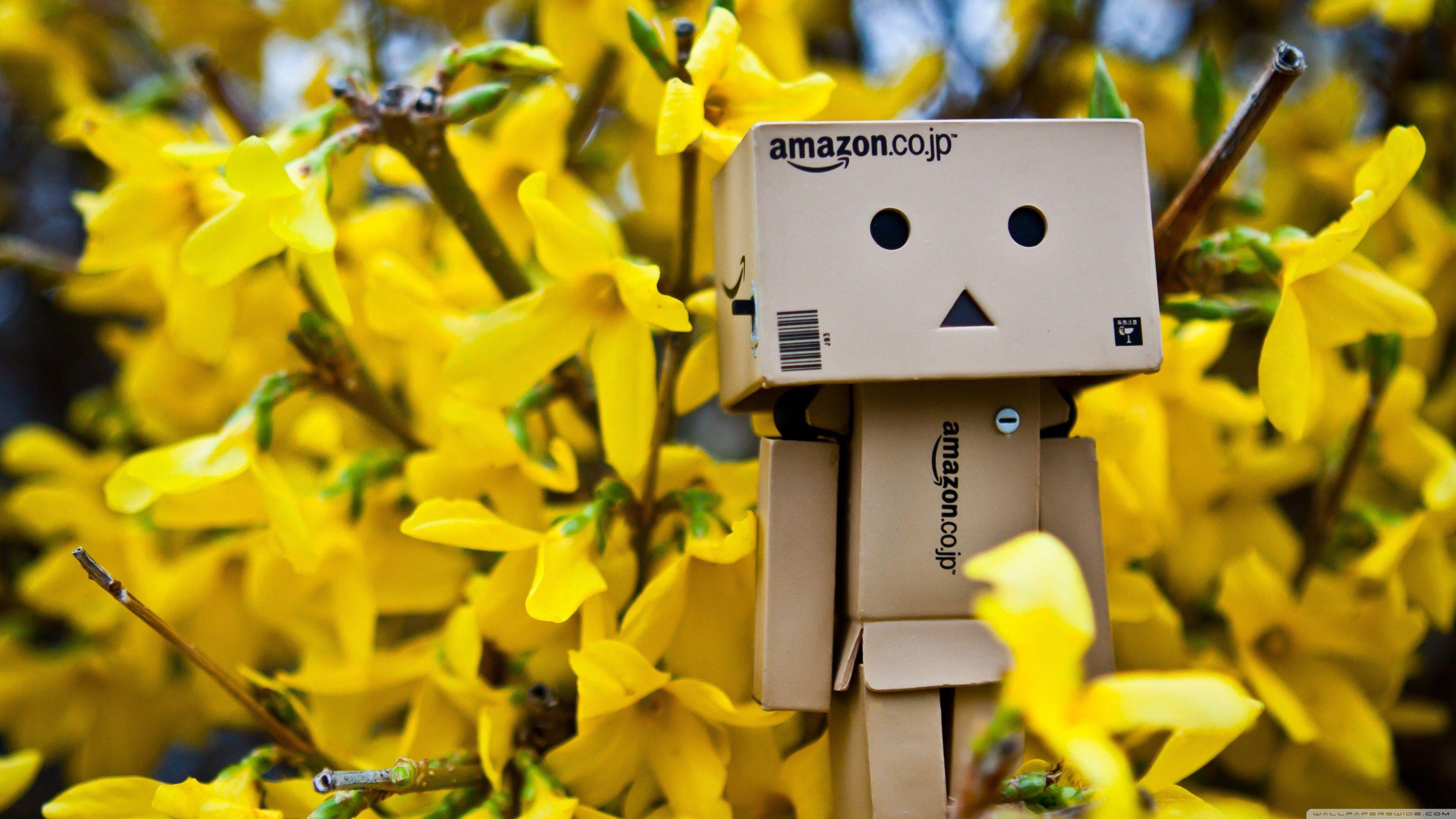 3840x2160 Danboard abstract amazon spring time wallpaper