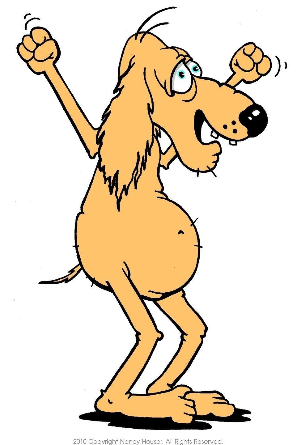 961x1440 old dog with a cane