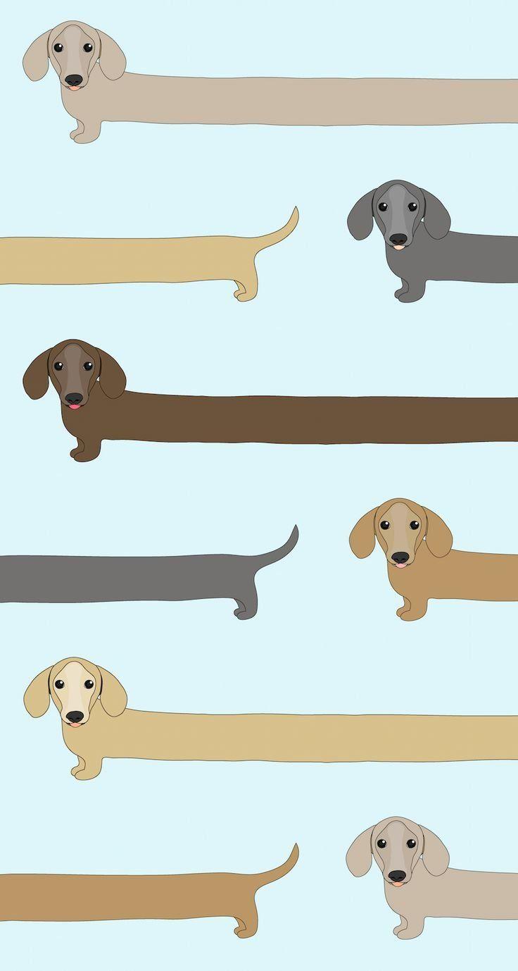 736x1378 Kawaii Dog Wallpaper