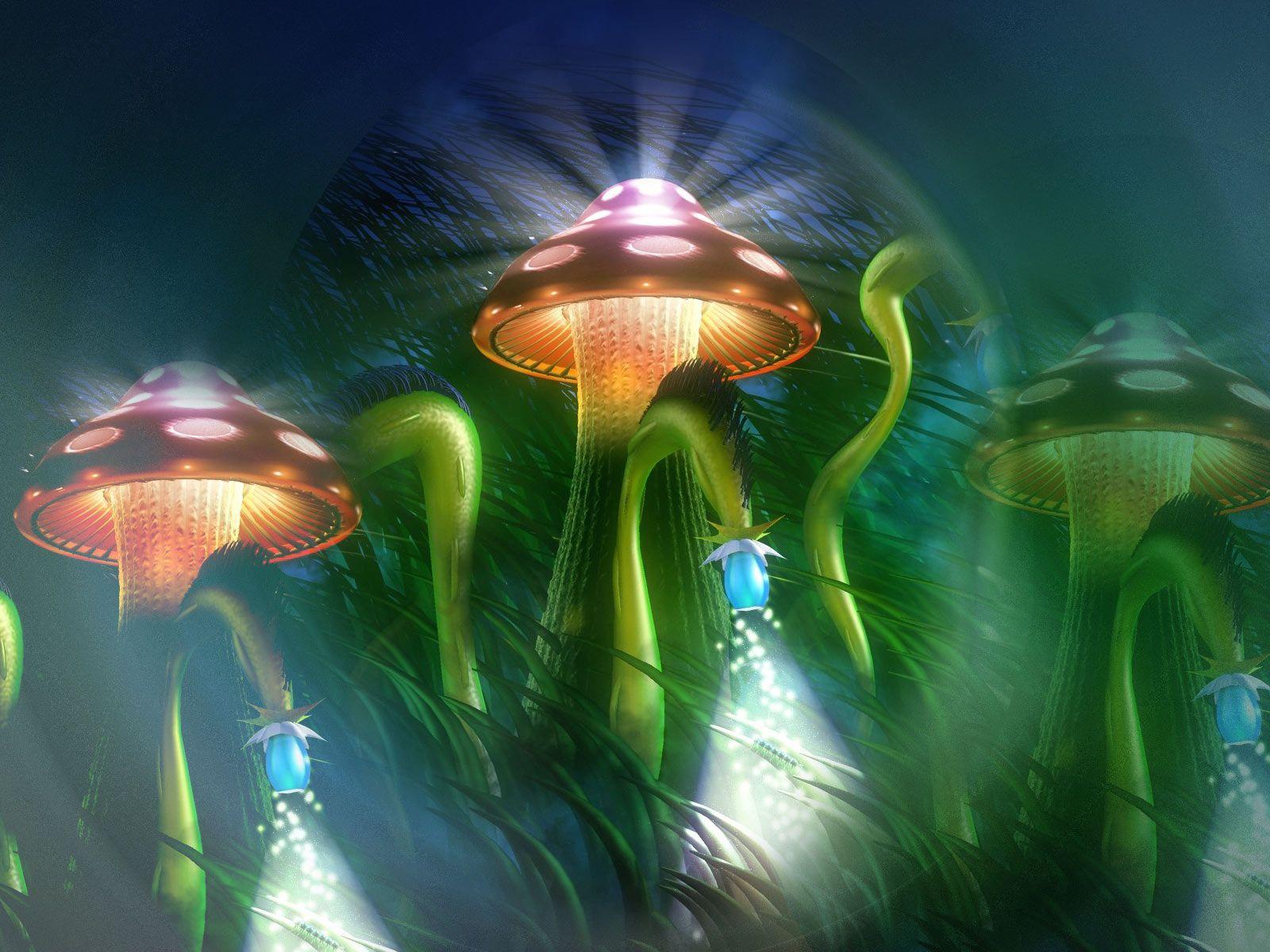 1600x1200 HD wallpaper. Abstract. mushroom kingdom 1600x1200