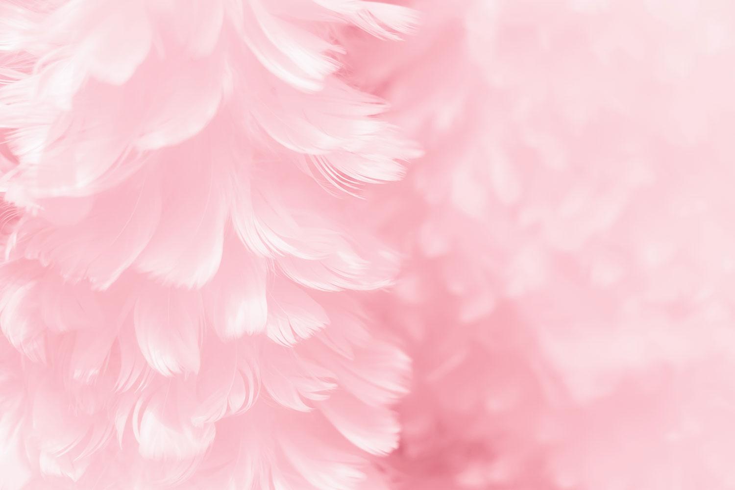 1500x1000 Print a Wallpaper