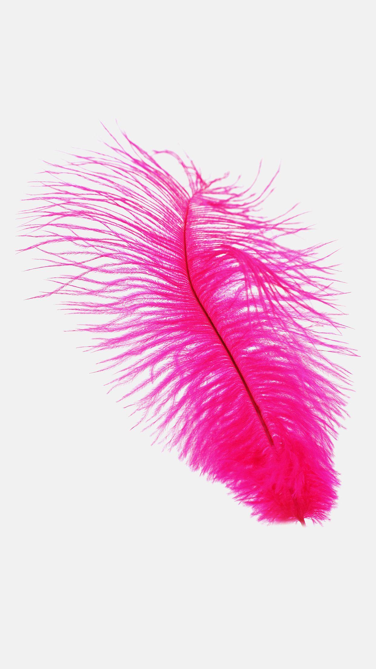 Pink Feathers Wallpapers - Top Free Pink Feathers Backgrounds