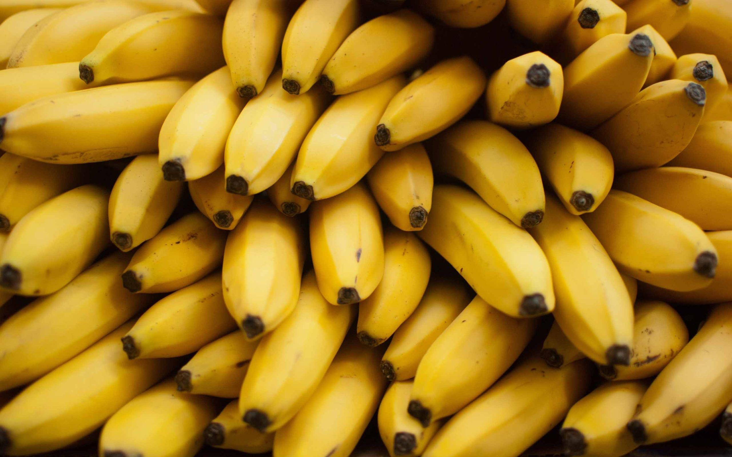 2560x1600 The Bananas Mac Wallpaper Download