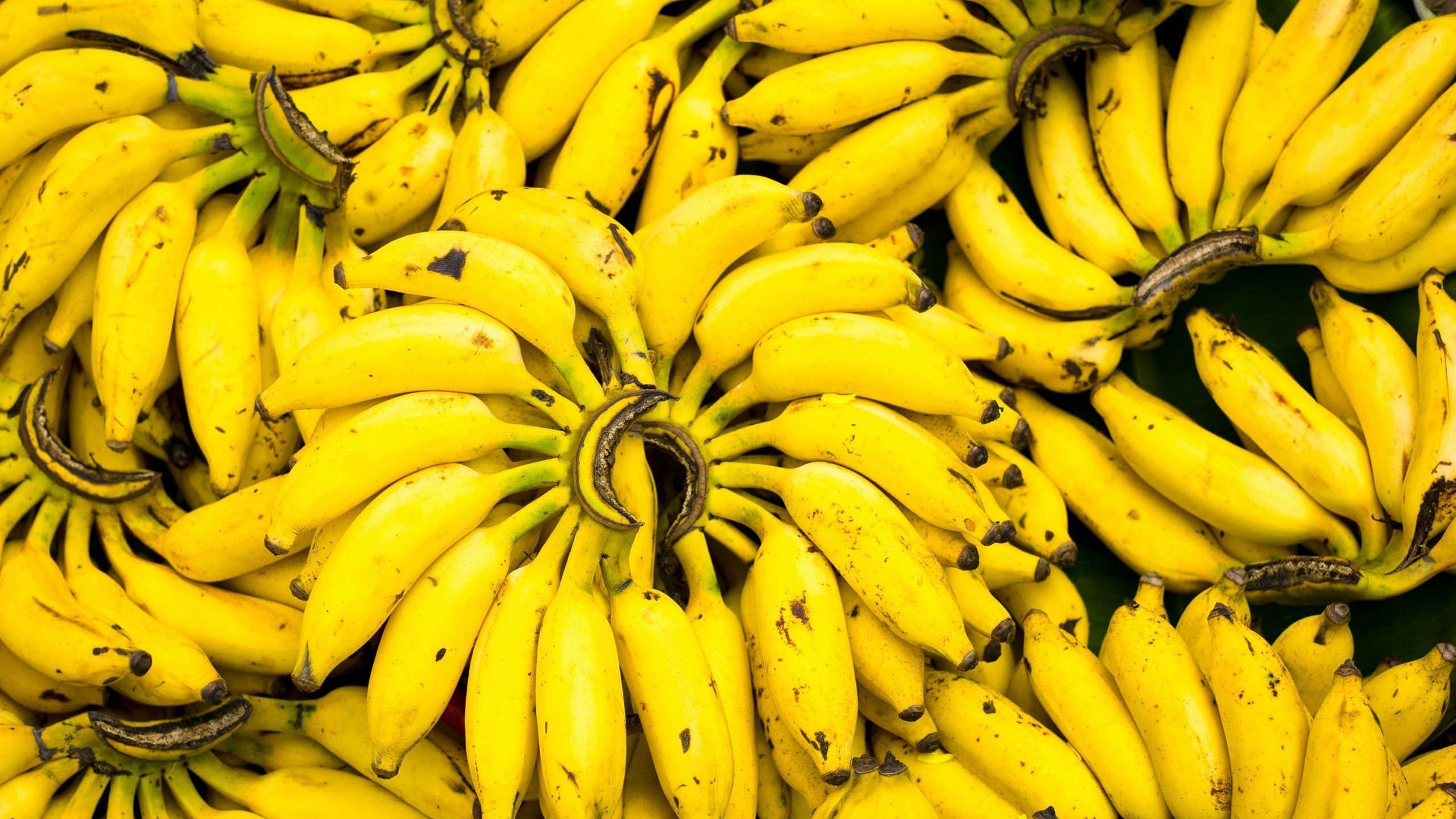 Bananas Wallpapers - Top Free Bananas Backgrounds - WallpaperAccess