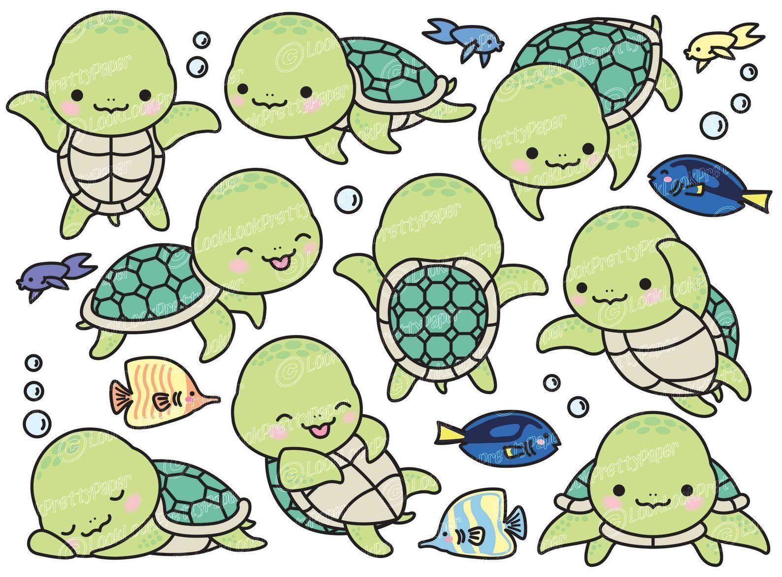 1588x1173 Turtle Wallpaper