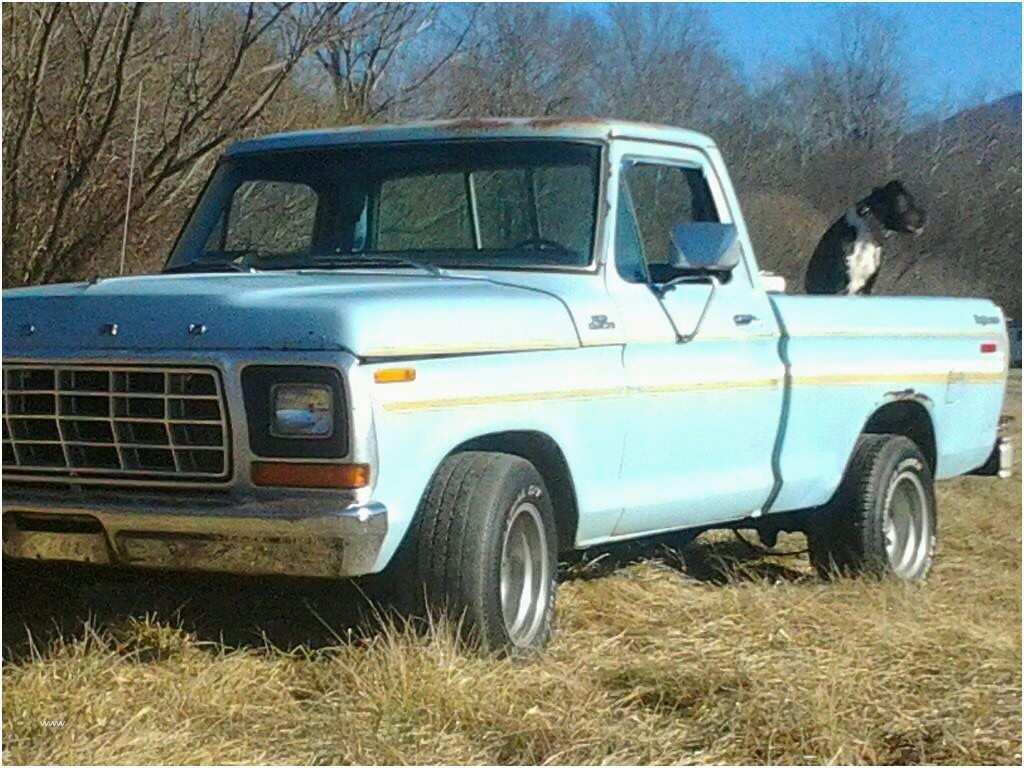 1024x768 4j8682o Old Ford Truck Wallpaper Pickup Trucks Dogs