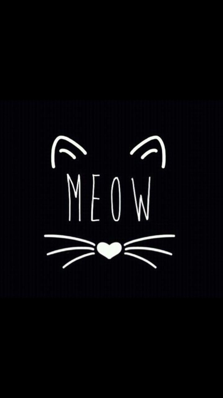 Meow Wallpapers - Top Free Meow Backgrounds - WallpaperAccess