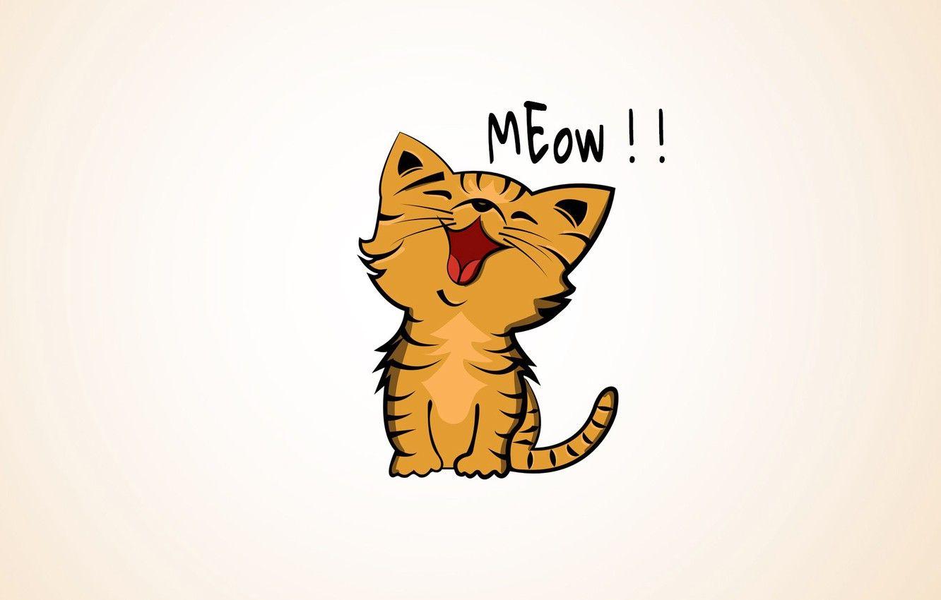 Meow Wallpapers - Top Free Meow Backgrounds - WallpaperAccess