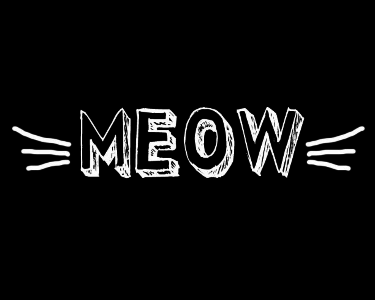 Meow Wallpapers - Top Free Meow Backgrounds - WallpaperAccess