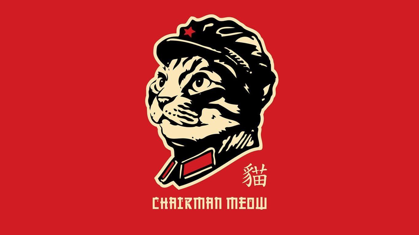 1366x768 Chairman Meow [1366x1768]