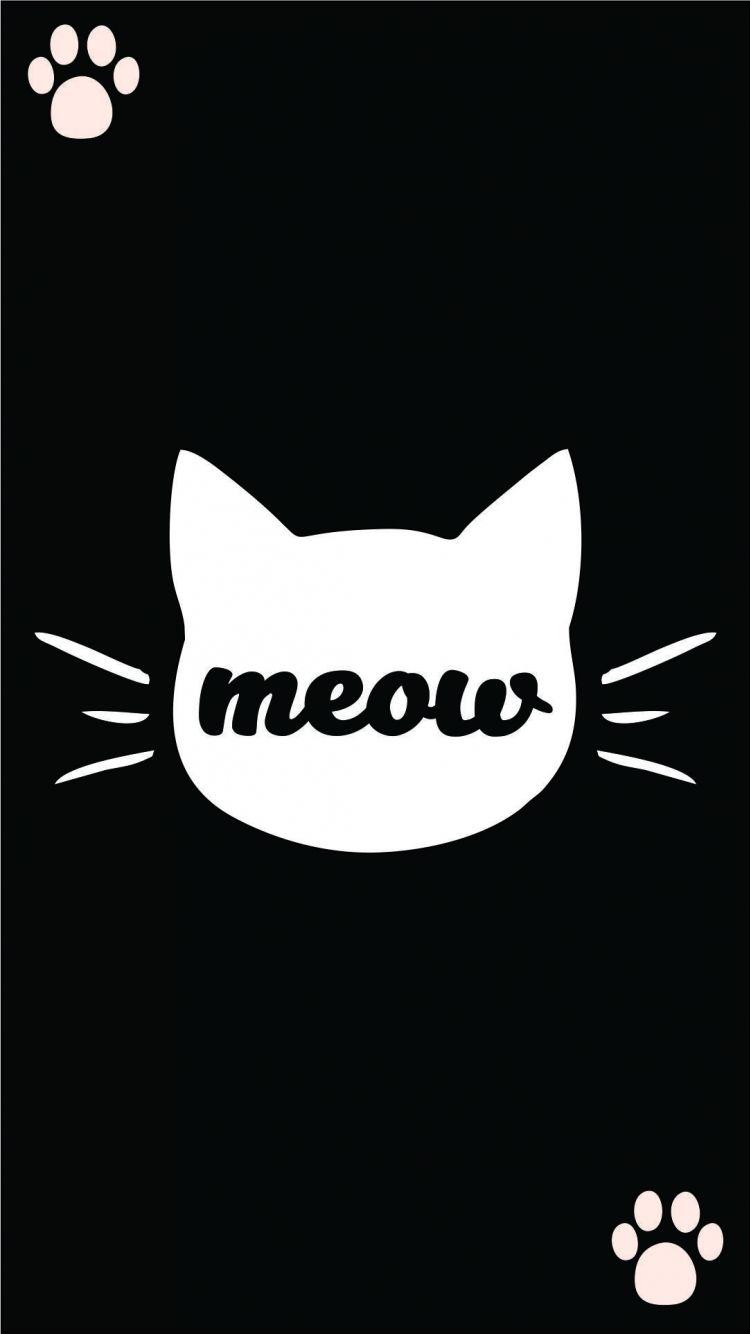 Meow Wallpapers - Top Free Meow Backgrounds - WallpaperAccess