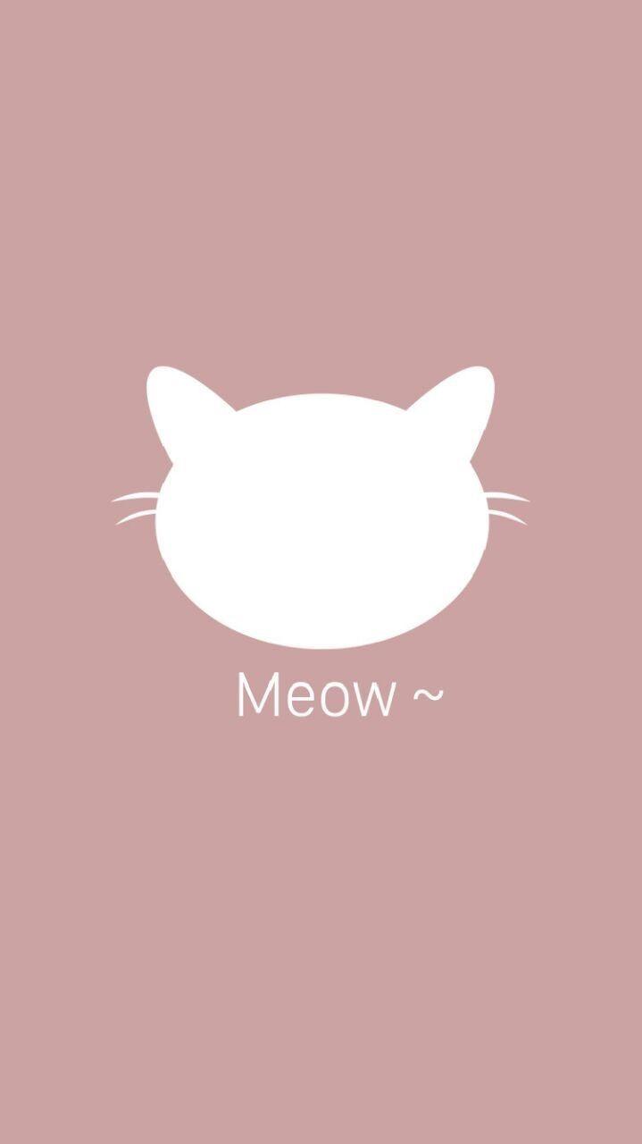 Meow Wallpapers - Top Free Meow Backgrounds - WallpaperAccess