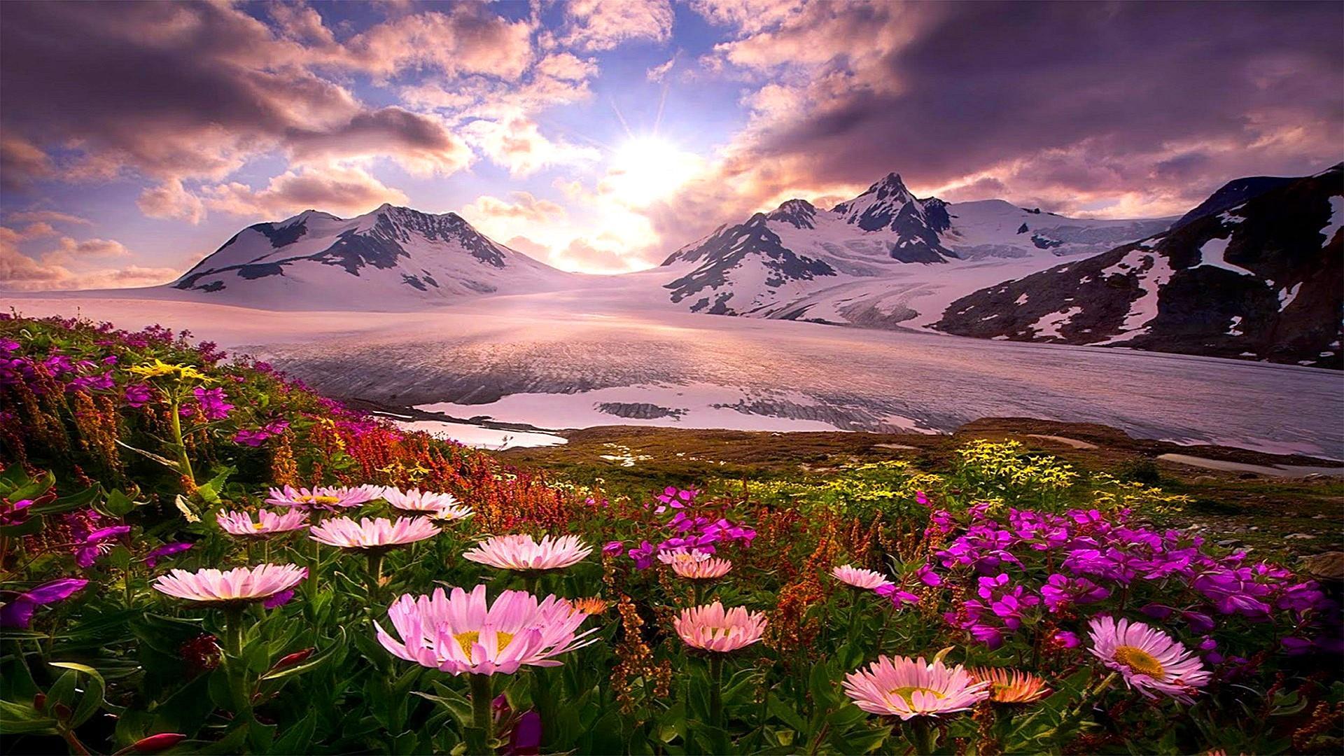1920x1080 Alaska HD Wallpaper