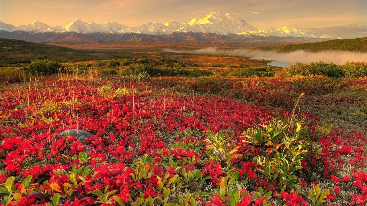 1280x720 Alaska scenery wallpaper