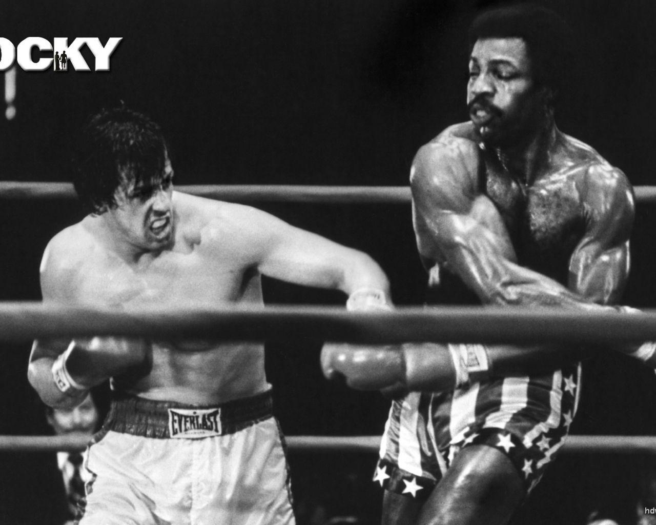 1280x1024 Free download HD Wallpaper Rocky Balboa Quotes 1440 X 810 168 Kb Jpeg HD [1680x1050] for your Desktop, Mobile & Tablet. Explore Rocky Balboa Wallpaper HD. Rocky Wallpaper HD