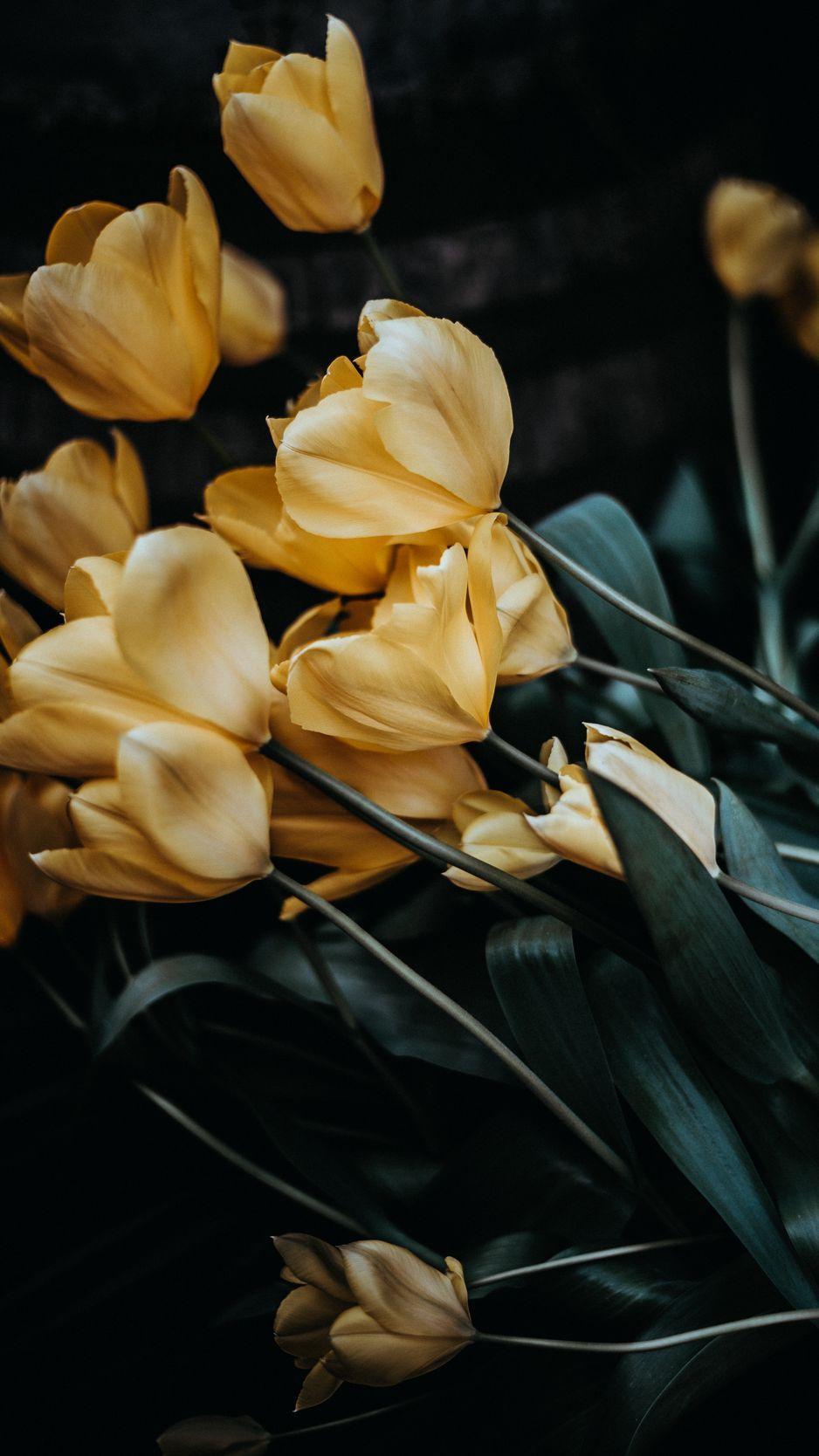 938x1668 Download wallpaper 938x1668 tulips, bouquet, yellow, flowers