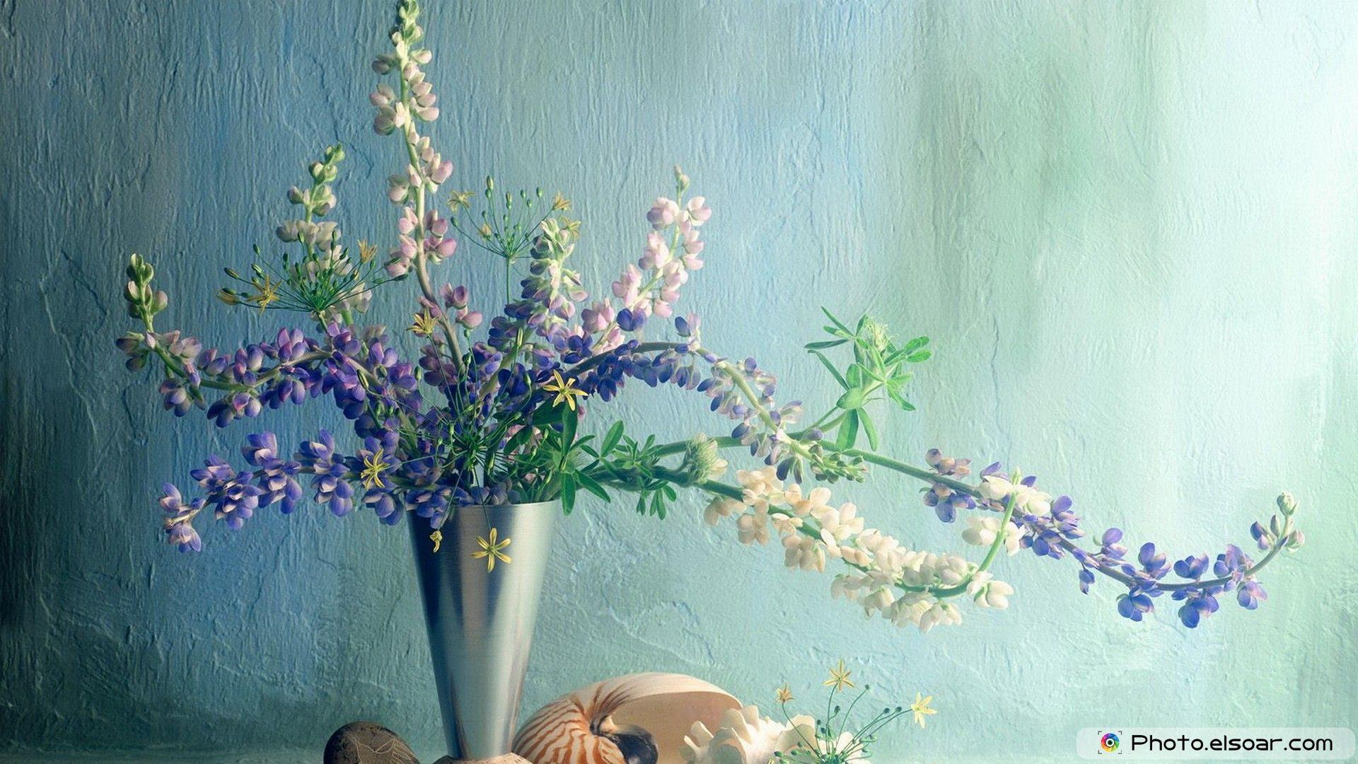 1920x1080 The Most Beautiful Flowers Desktop Wallpaper For Widescreen