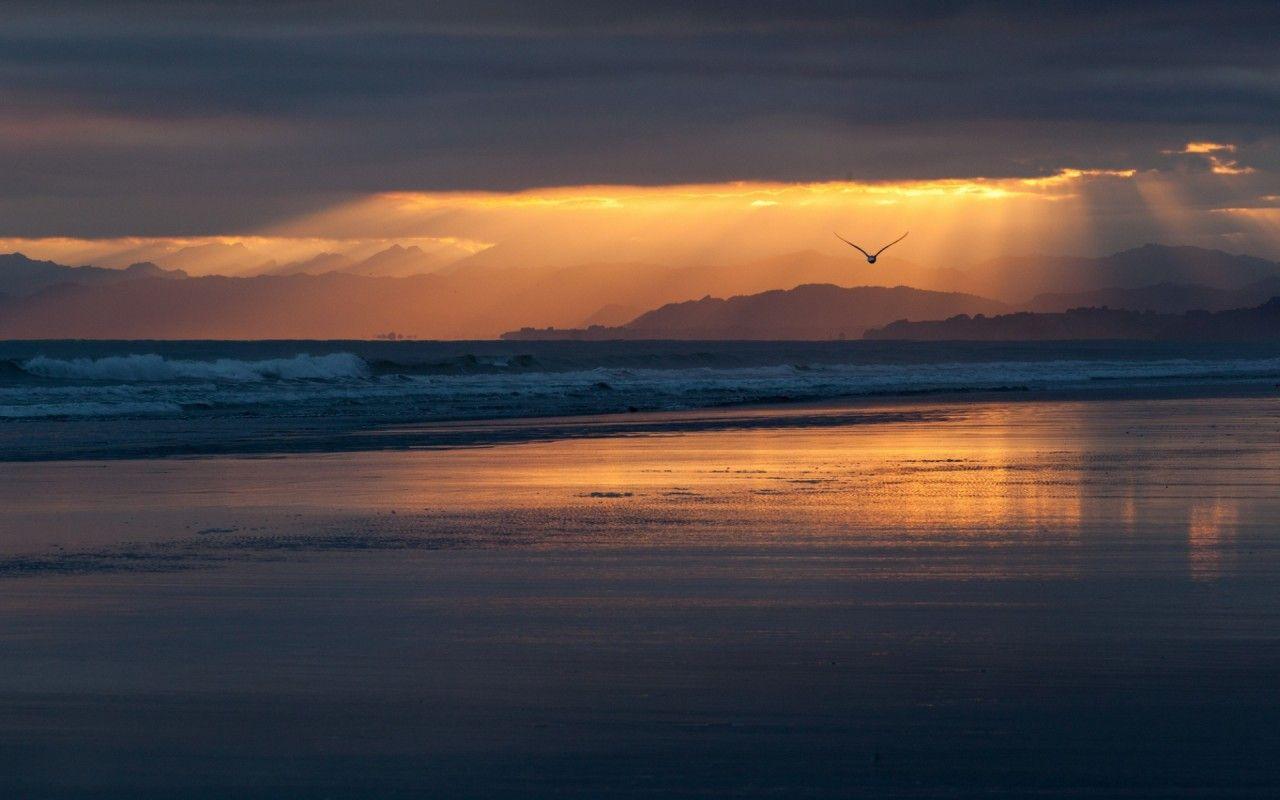 1280x800 Ocean Bird Sunset New Zealand wallpaper. Ocean Bird Sunset New