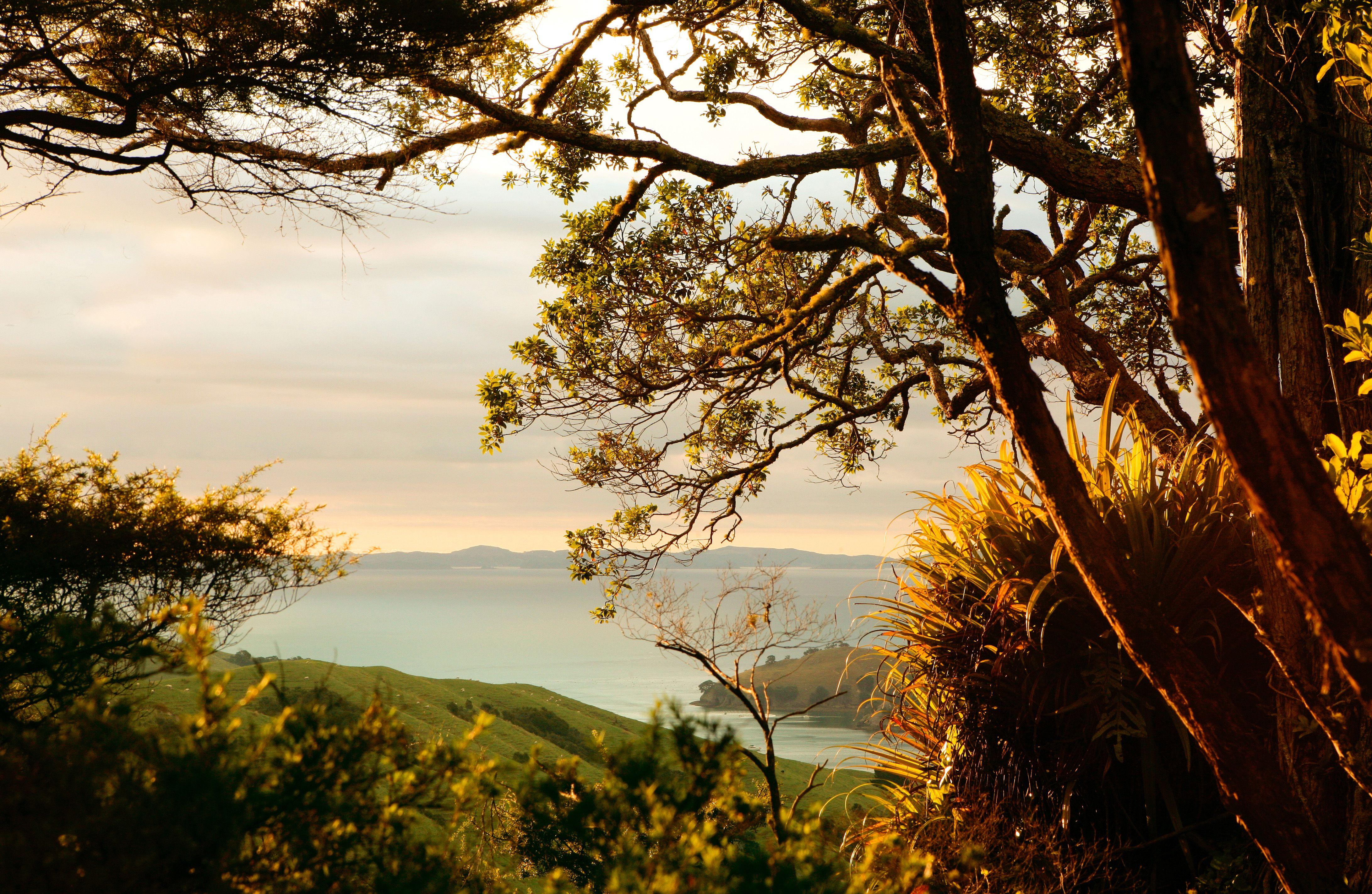 4368x2848 Daily Wallpaper: One Fine Evening. I Like To Waste My Time