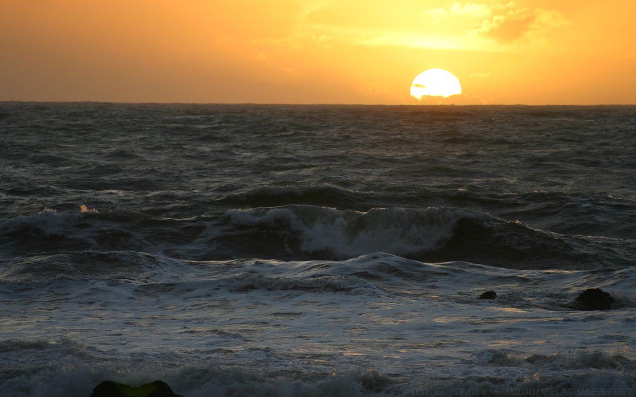1280x800 New Zealand beach sunset Wallpaper