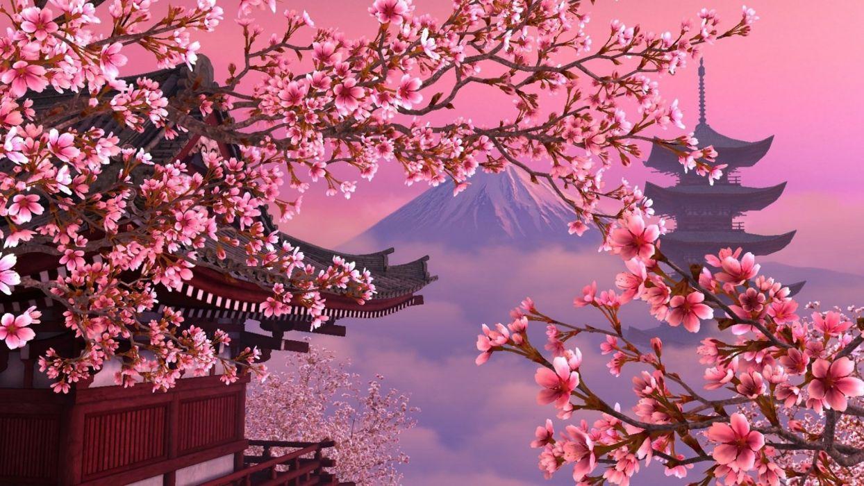 Cherry blossom Wallpaper 4K Light pink background 2055