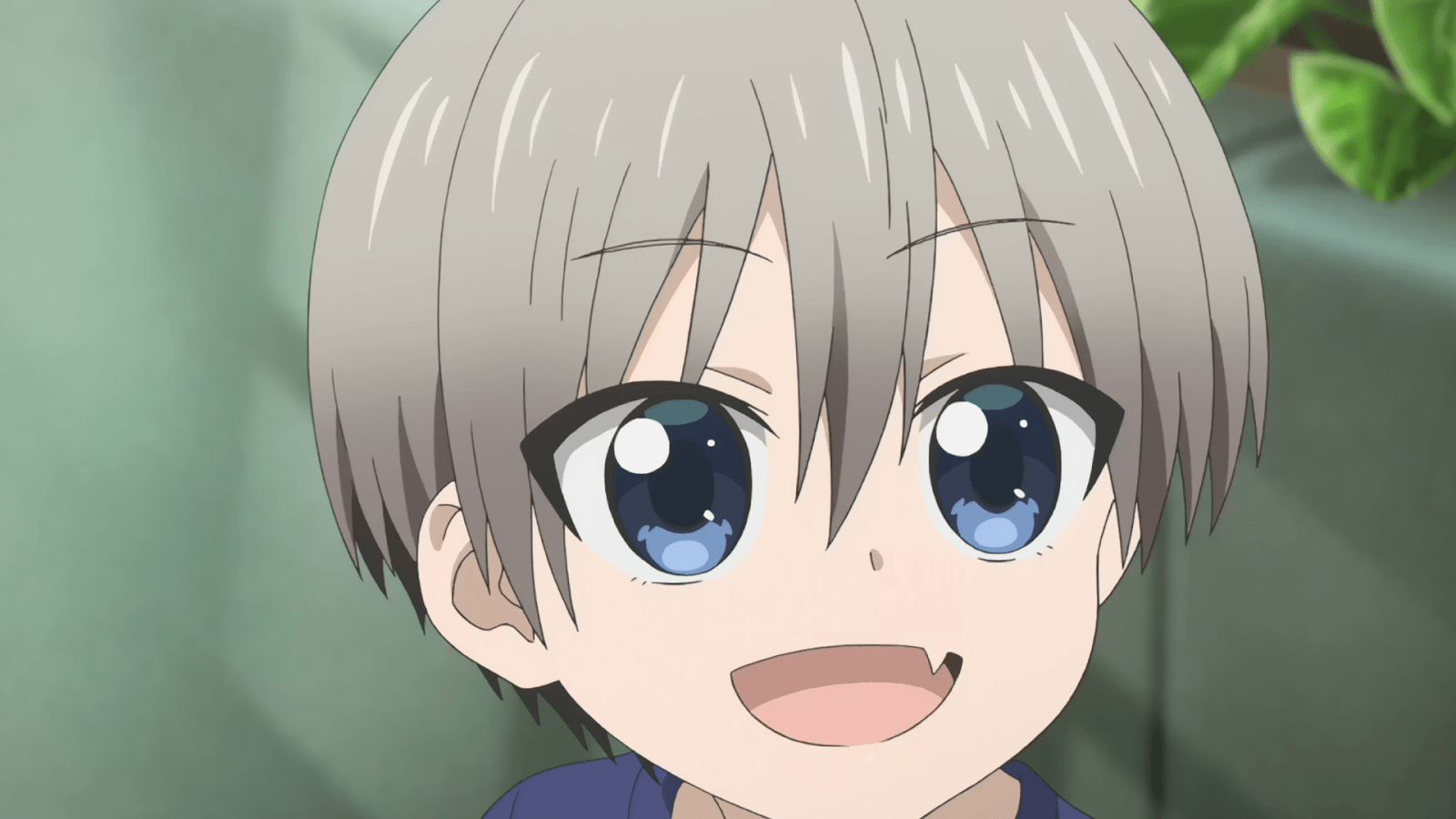 1600x900 Uzaki Chan Wa Asobitai!