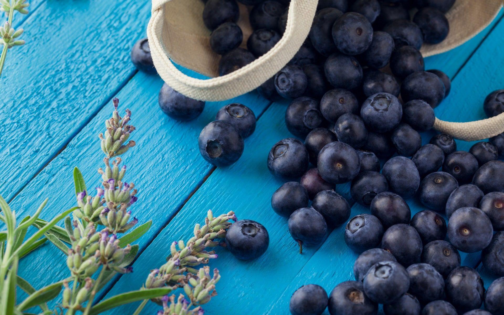 1920x1200 HD Blueberry Wallpaper Free HD Wallpaper