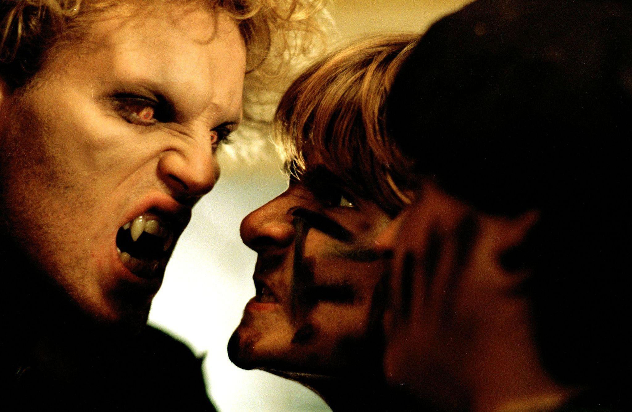 2048x1334 LOST BOYS dark horror comedy vampire lostboys blood wallpaper